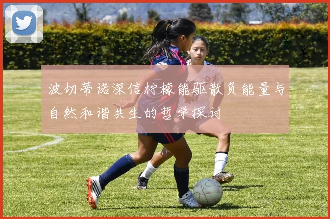 波切蒂诺深信柠檬能驱散负能量与自然和谐共生的哲学探讨