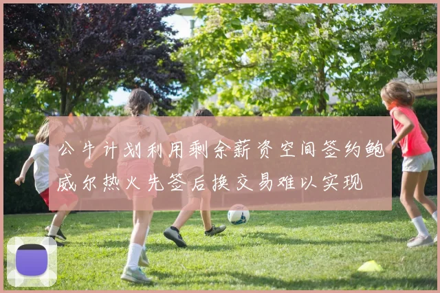 公牛计划利用剩余薪资空间签约鲍威尔热火先签后换交易难以实现