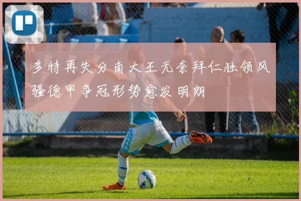 多特再失分南大王无奈拜仁独领风骚德甲争冠形势愈发明朗